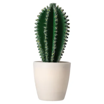 Outlet O'malley Decoratieve Cactusplant 19 Cm Diverse Assorti