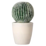 decoratieve-cactusplant-19-cm-zeSymEHO-0.webp