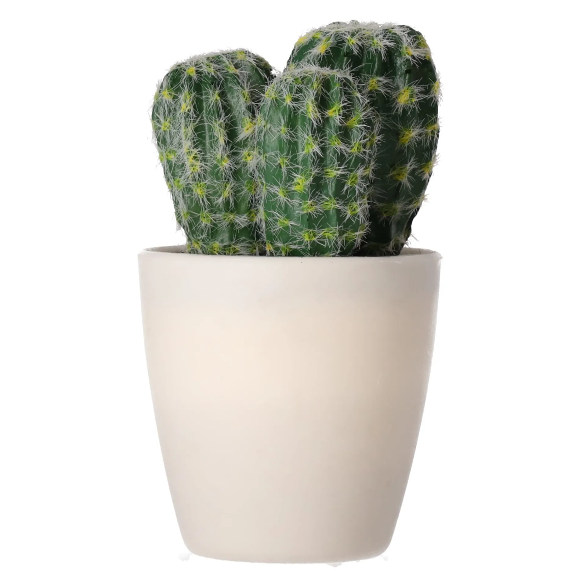 decoratieve-cactusplant-19-cm-zeSymEHO-2.webp Outlet O'malley Decoratieve Cactusplant 19 Cm Diverse Assorti
