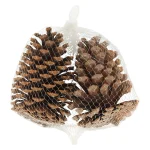 Clearance Natural Collections Dennenappel Natural 13 X 13 X 8 Cm 2st