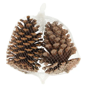 Clearance Natural Collections Dennenappel Natural 13 X 13 X 8 Cm 2st