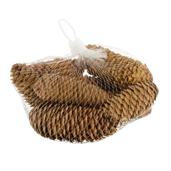 Best Natural Collections Dennenappel Natural 150g