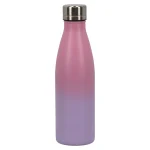 Clearance Lunch Buddies Drinkfles RVS