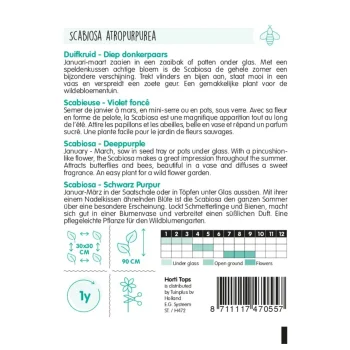 Sale Horti Tops Duifkruid Diep Donkerpaars