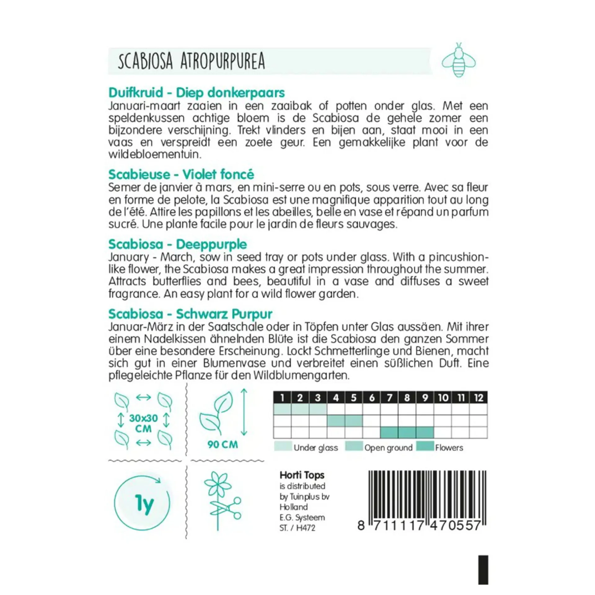 duifkruid-diep-donkerpaars-pzIXCvgf-1.webp Sale Horti Tops Duifkruid Diep Donkerpaars