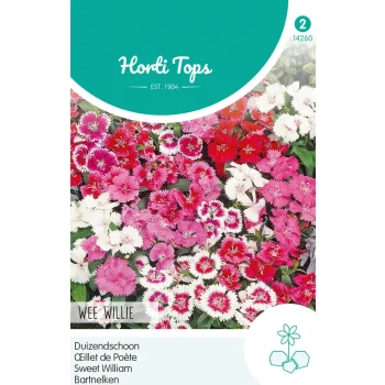 Online Horti Tops Duizendschoon Wee Willie Mix