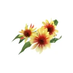 echinacea-geel-62-cm-aQVGPpHr-0.webp