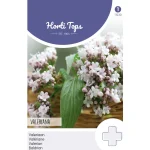 Clearance Horti Tops Echte Valeriaan Zaad