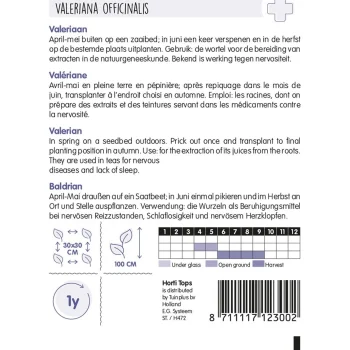 Clearance Horti Tops Echte Valeriaan Zaad