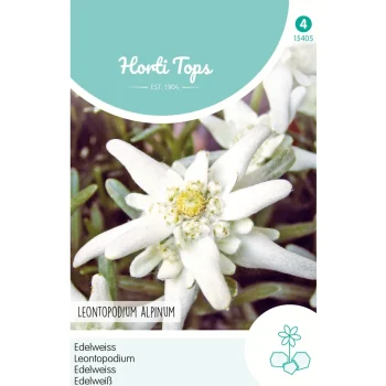Clearance Horti Tops Edelweiss