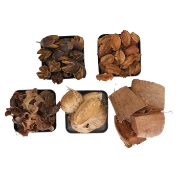 Clearance Natural Collections Exotische Mix Natuur 6 X 6 X 14 Cm 6 Assorti