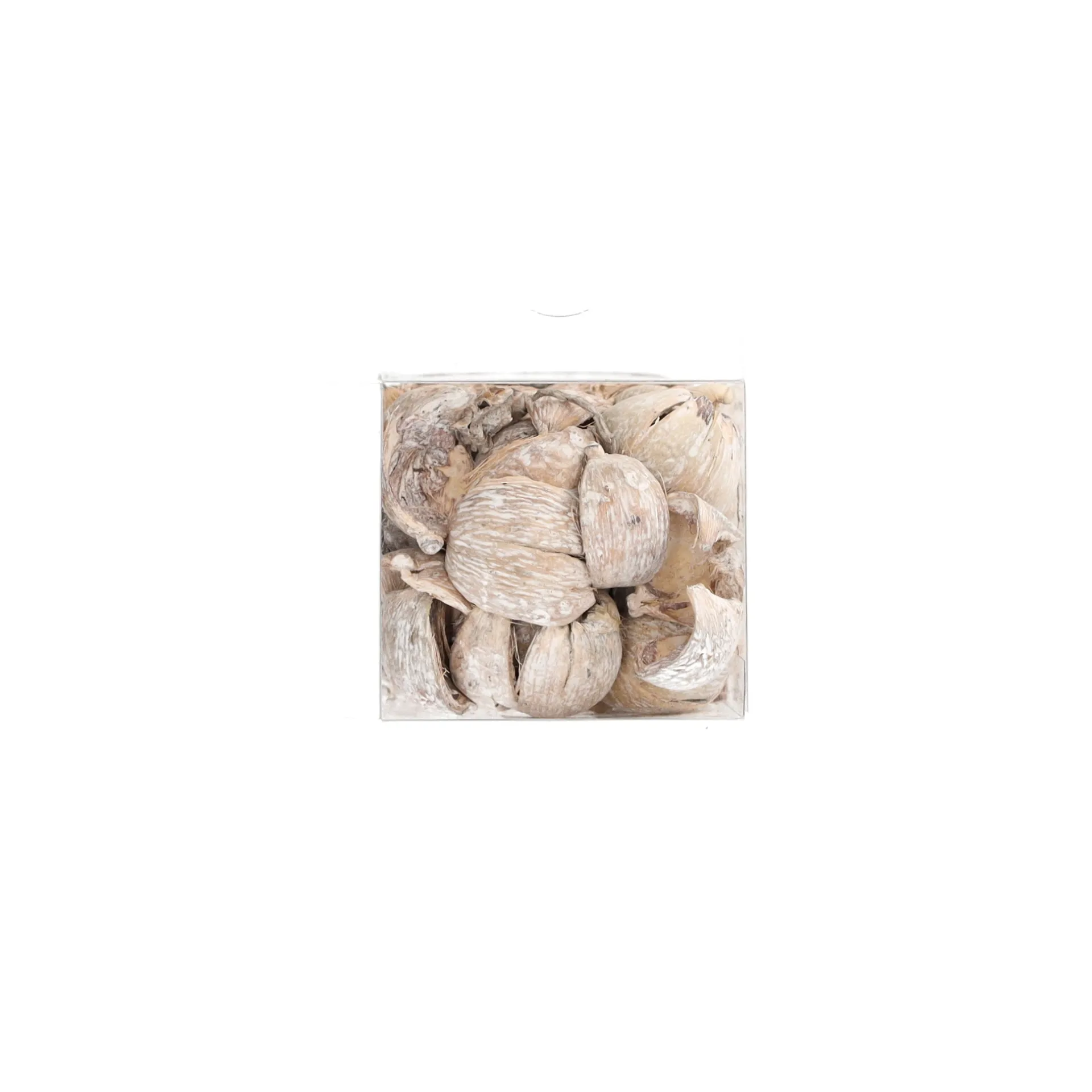 exotische-mix-natuur-white-was-heMFEnSn-7.webp Outlet Natural Collections Exotische Mix Natuur White-wash 6 X 6 X 14 Cm 6 Assorti