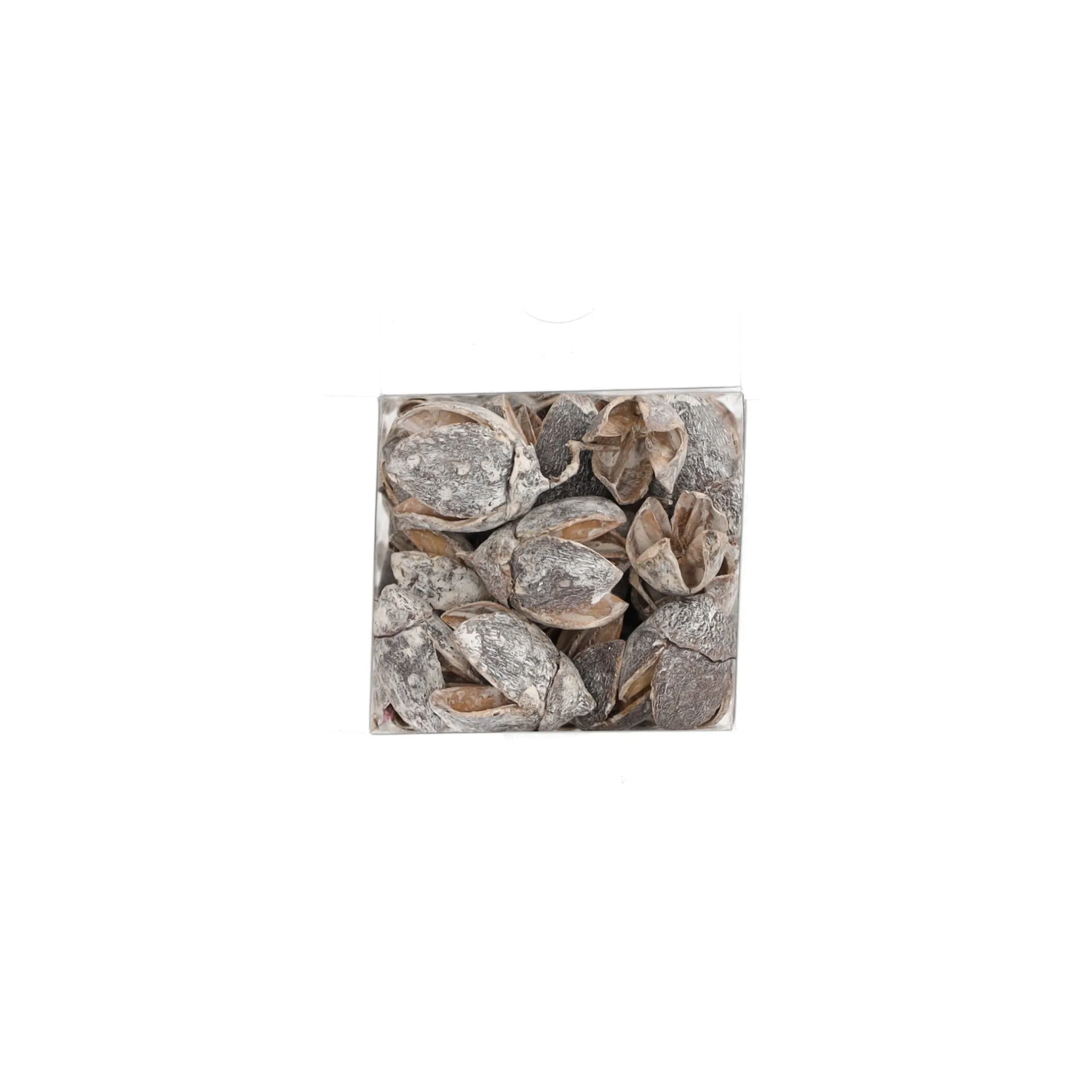 exotische-mix-natuur-white-was-heMFEnSn-9.webp Outlet Natural Collections Exotische Mix Natuur White-wash 6 X 6 X 14 Cm 6 Assorti