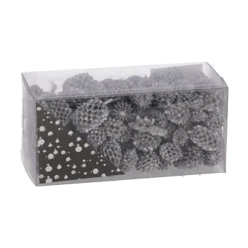 Clearance Natural Collections Exotische Mix Natuur Zilver 6 X 6 X 14 Cm 6 Assorti