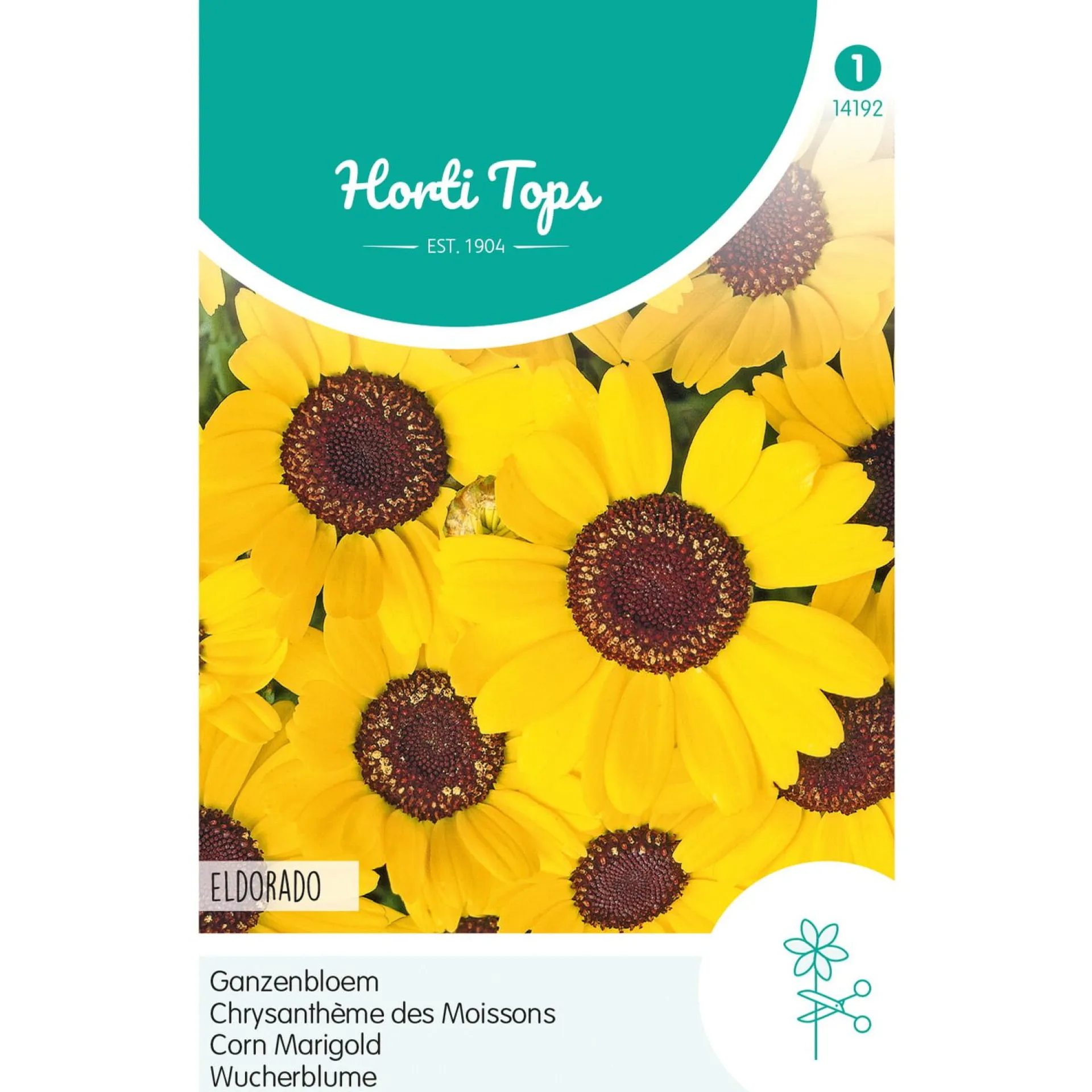 ganzebloem-eldorado-DgaHmzRy-0.webp Hot Horti Tops Ganzebloem Eldorado