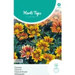 gazania-sunshine-mix-yDhLsmNe-0.webp