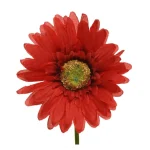 gerbera-rood-50-cm-KVNbaGDD-0.webp