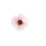 gerbera-roze-50-cm-jYqdBrso-0.webp