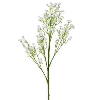 Sale Decoris Gipskruid Wit 65 Cm