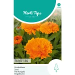 Sale Horti Tops Goudsbloem Orange King
