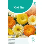 Best Horti Tops Goudsbloem Pacific Beauty Mix