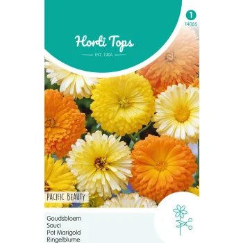 Best Horti Tops Goudsbloem Pacific Beauty Mix