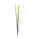 grasbundel-131-cm-groen-hugxxSfr-0.webp