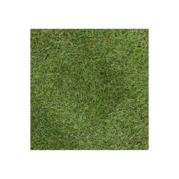 Best Bel Garden Grastapijt Carrow Road 1x2M