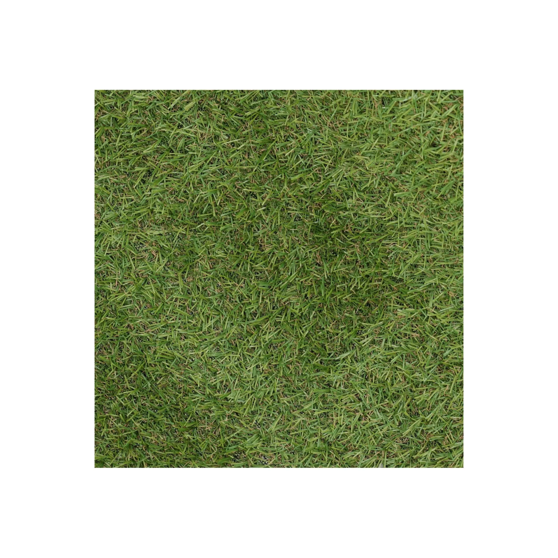 grastapijt-carrow-road-2x4m-zEmmOFLQ-1.webp New Bel Garden Grastapijt Carrow Road 2x4M