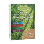 graszaad-schaduwgazon-500gr-be-QItsQRWK-0.webp
