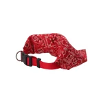 halsband-hond-bandana-2235cm-TPUHcKZv-0.webp