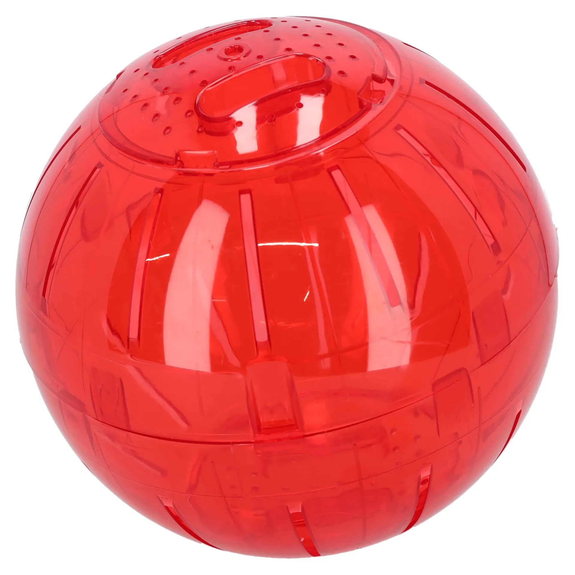 hamsterspeelbal-neon-TrGBoMMA-3.webp New Flamingo Hamsterspeelbal Neon