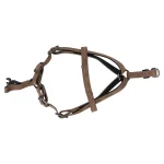 harnas-delu-bruin-xs-30-35cm-1-HjncoWSO-0.webp