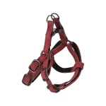 harnas-delu-rood-xs-30-35cm-10-ldkzMlse-0.webp