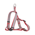 Clearance Friendly Pet Harnas H-vorm Reflectie