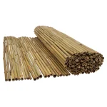 hekwerk-bamboo-h100-2m-bg-unwzLXik-0.webp