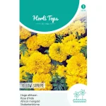 Discount Horti Tops Hoge Afrikaan Yellow Supreme