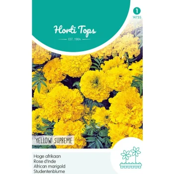 Discount Horti Tops Hoge Afrikaan Yellow Supreme