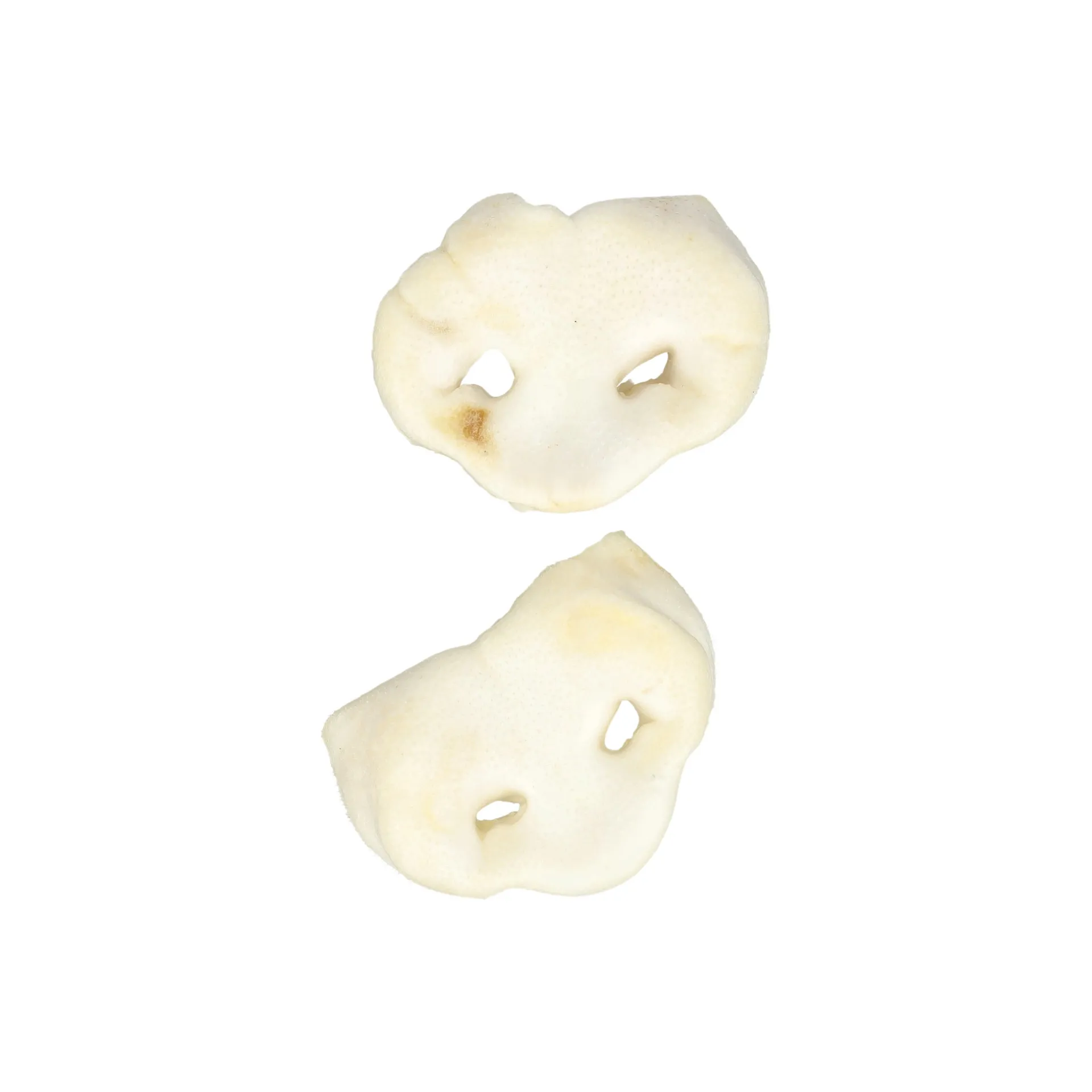 hondensnack-varkenssnuit-wit-5-JxngFVLY-1.webp Outlet Smulti Hondensnack Varkenssnuit Wit 5st