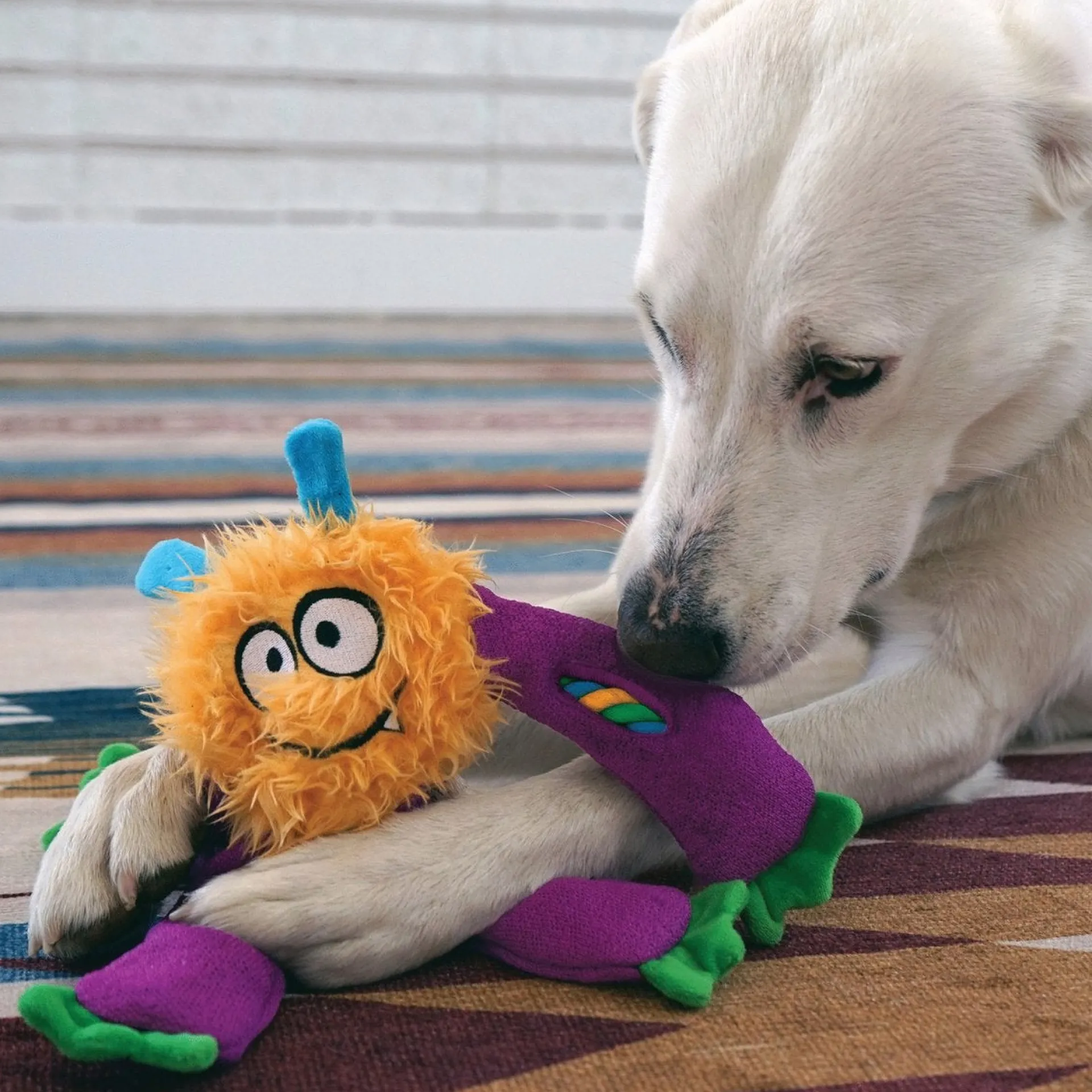 hondenspeelgoed-sneakerz-knots-WPmZnFsj-2.webp Sale Kong Hondenspeelgoed Sneakerz Knots