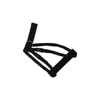 Best Friendly Pet Hondentuig Auto S