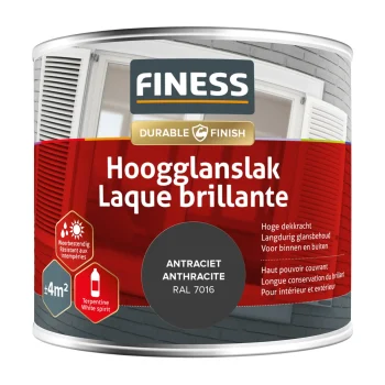 Fashion Finess Hoogglans Antraciet 14203 250ml