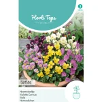 Sale Horti Tops Hoornviooltjes Bambini Mix