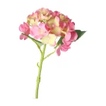 hortensia-31-cm-roze-SBJhCNlv-0.webp
