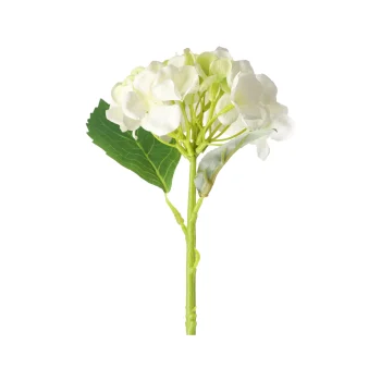 Discount O'malley Hortensia 31 Cm Wit