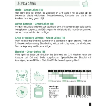 Sale Horti Tops IJsbergsla Great Lakes