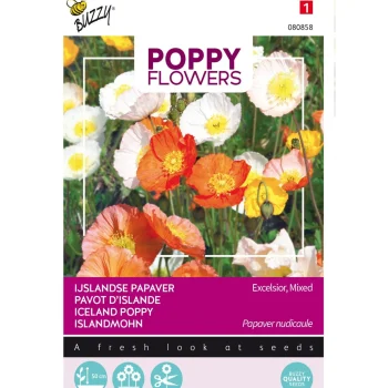 New Buzzy IJslandse Papaver Mix