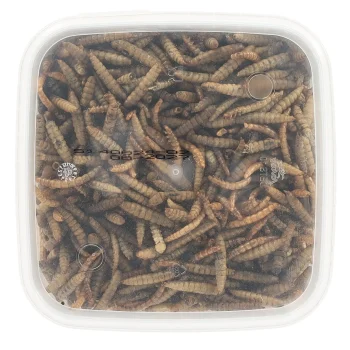 Sale Smulti Insectenmix 1.2L