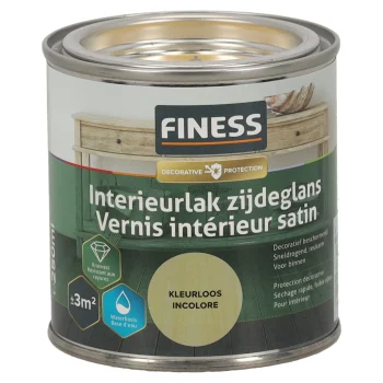 Online Finess Interieurlak Kleurloos 250ml