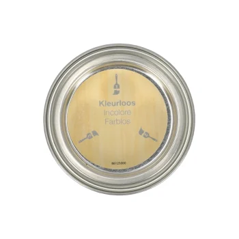 Online Finess Interieurlak Kleurloos 250ml